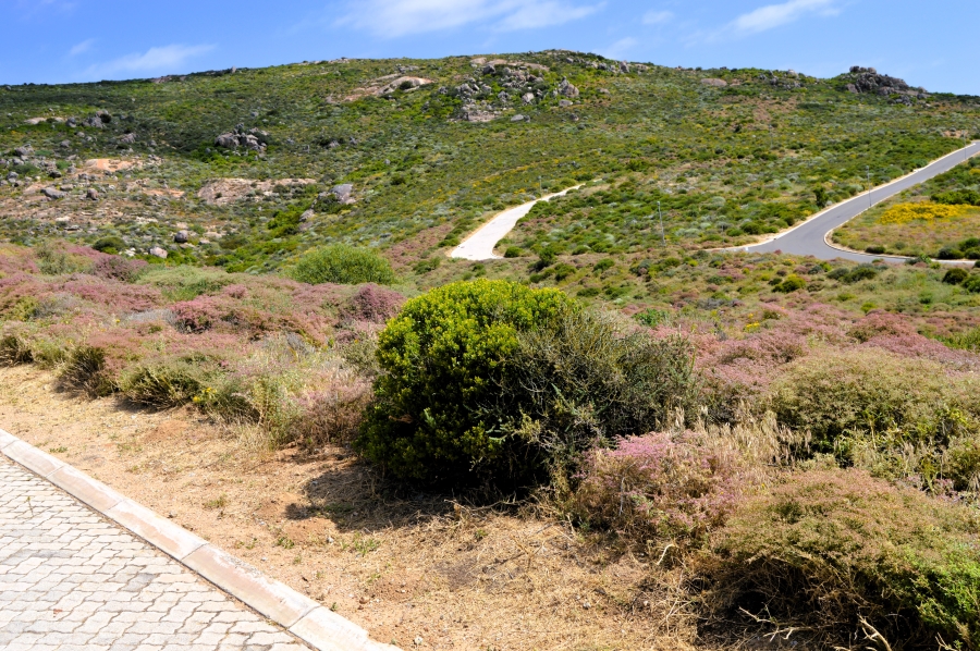 0 Bedroom Property for Sale in Steenbergs Cove Western Cape